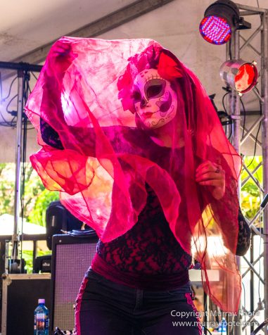 Australia, Blues, Blues Festivals, Live Music, Photography, Sydney, Sydney Blues Festival, Travel.