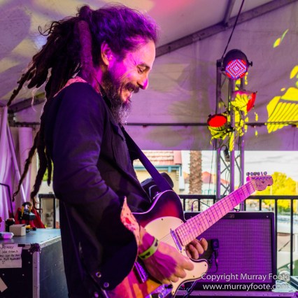 Australia, Blues, Blues Festivals, Live Music, Photography, Sydney, Sydney Blues Festival, Travel.