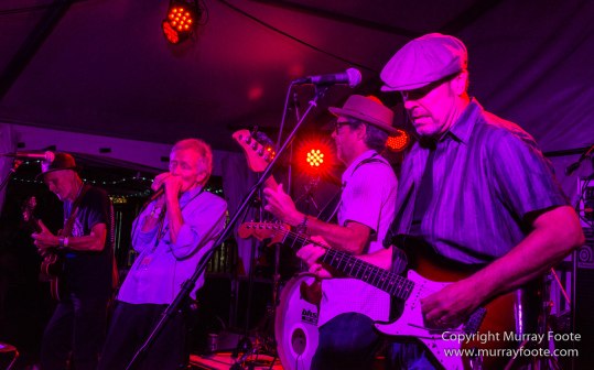 Australia, Blues, Blues Festivals, Live Music, Photography, Sydney, Sydney Blues Festival, Travel.