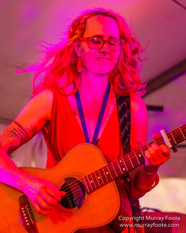 Australia, Blues, Blues Festivals, Live Music, Photography, Sydney, Sydney Blues Festival, Travel.