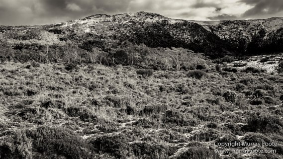 Australia, Black and White, Bruny Island, Landscape, Monochrome, Mount Field National Park, Nature, Photography, Tasmania, The Styx Valley, Travel, Wilderness