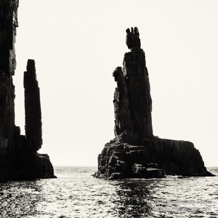 Australia, Black and White, Bruny Island, Landscape, Monochrome, Mount Field National Park, Nature, Photography, Tasmania, The Styx Valley, Travel, Wilderness