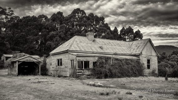 Australia, Black and White, Bruny Island, Landscape, Monochrome, Mount Field National Park, Nature, Photography, Tasmania, The Styx Valley, Travel, Wilderness