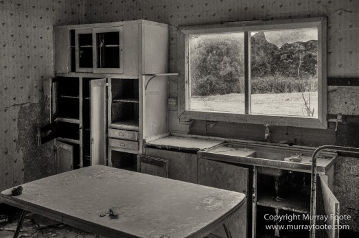 Australia, Black and White, Bruny Island, Landscape, Monochrome, Mount Field National Park, Nature, Photography, Tasmania, The Styx Valley, Travel, Wilderness