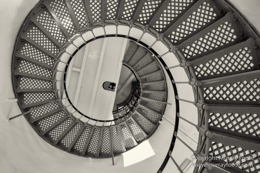 Australia, Black and White, Bruny Island, Landscape, Monochrome, Mount Field National Park, Nature, Photography, Tasmania, The Styx Valley, Travel, Wilderness