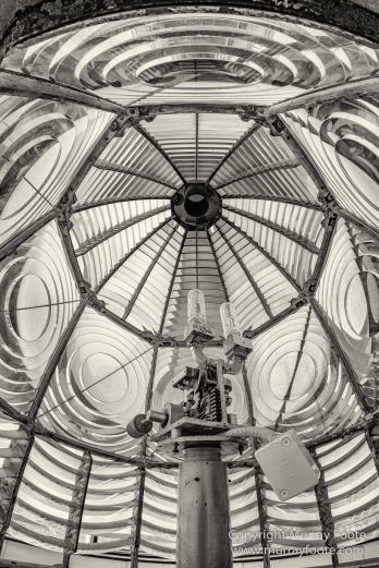 Australia, Black and White, Bruny Island, Landscape, Monochrome, Mount Field National Park, Nature, Photography, Tasmania, The Styx Valley, Travel, Wilderness