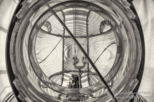 Australia, Black and White, Bruny Island, Landscape, Monochrome, Mount Field National Park, Nature, Photography, Tasmania, The Styx Valley, Travel, Wilderness