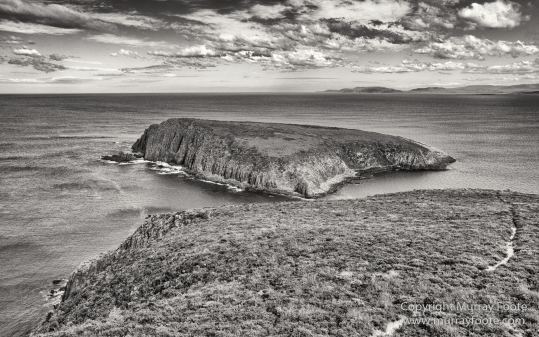 Australia, Black and White, Bruny Island, Landscape, Monochrome, Mount Field National Park, Nature, Photography, Tasmania, The Styx Valley, Travel, Wilderness