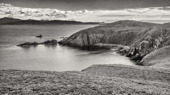 Australia, Black and White, Bruny Island, Landscape, Monochrome, Mount Field National Park, Nature, Photography, Tasmania, The Styx Valley, Travel, Wilderness