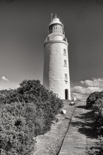 Australia, Black and White, Bruny Island, Landscape, Monochrome, Mount Field National Park, Nature, Photography, Tasmania, The Styx Valley, Travel, Wilderness