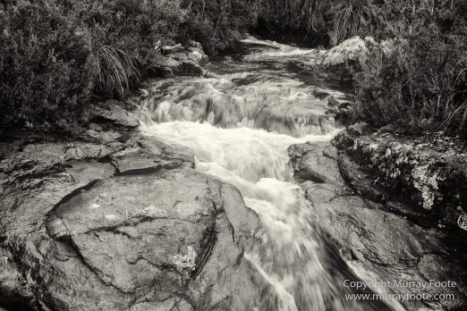 Australia, Black and White, Bruny Island, Hobart, Landscape, Monochrome, Mount Hartz National Park, Nature, Photography, Tahune Air Walk, Tasmania, Travel, Wilderness