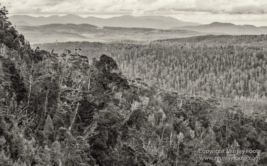Australia, Black and White, Bruny Island, Hobart, Landscape, Monochrome, Mount Hartz National Park, Nature, Photography, Tahune Air Walk, Tasmania, Travel, Wilderness