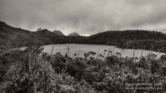 Australia, Black and White, Bruny Island, Hobart, Landscape, Monochrome, Mount Hartz National Park, Nature, Photography, Tahune Air Walk, Tasmania, Travel, Wilderness