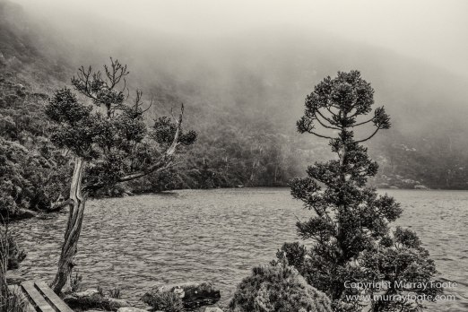 Australia, Black and White, Bruny Island, Hobart, Landscape, Monochrome, Mount Hartz National Park, Nature, Photography, Tahune Air Walk, Tasmania, Travel, Wilderness