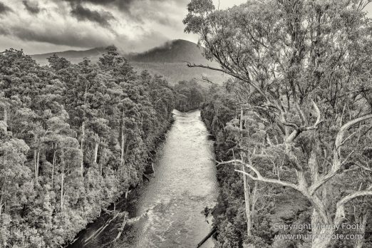 Australia, Black and White, Bruny Island, Hobart, Landscape, Monochrome, Mount Hartz National Park, Nature, Photography, Tahune Air Walk, Tasmania, Travel, Wilderness