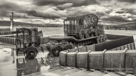 Australia, Black and White, Bruny Island, Hobart, Landscape, Monochrome, Mount Hartz National Park, Nature, Photography, Tahune Air Walk, Tasmania, Travel, Wilderness