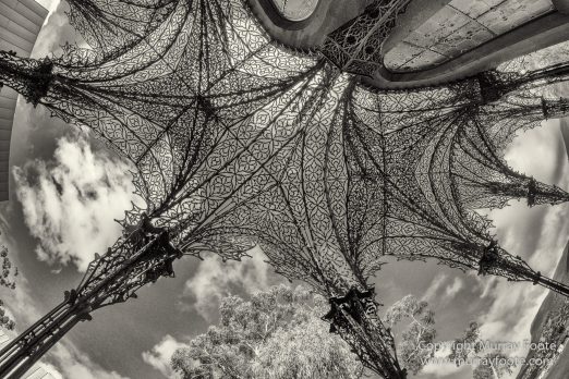 Australia, Black and White, Bruny Island, Hobart, Landscape, Monochrome, Mount Hartz National Park, Nature, Photography, Tahune Air Walk, Tasmania, Travel, Wilderness
