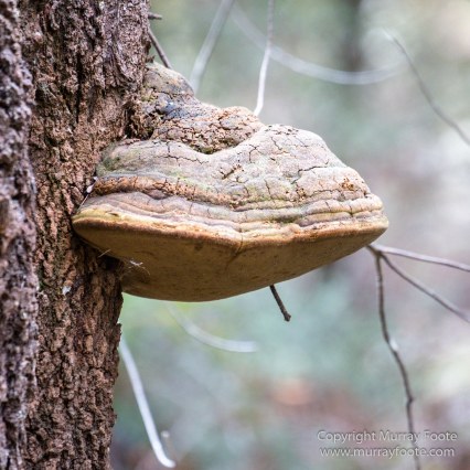 Australia, Haunted Bay, Landscape, Maria Island, Nature, Photography, Riedle Bay, seascape, Shoal Bay, Tasmania, Travel, Wilderness, Wineglass Bay Sail Walk