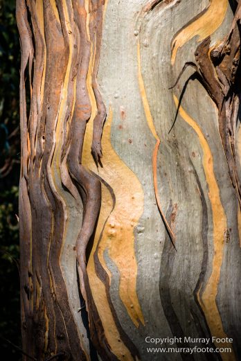 Australia, Haunted Bay, Landscape, Maria Island, Nature, Photography, Riedle Bay, seascape, Shoal Bay, Tasmania, Travel, Wilderness, Wineglass Bay Sail Walk