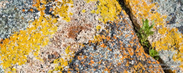 Australia, Haunted Bay, Landscape, Maria Island, Nature, Photography, Riedle Bay, seascape, Shoal Bay, Tasmania, Travel, Wilderness, Wineglass Bay Sail Walk