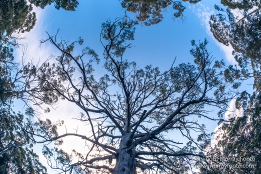 Australia, Haunted Bay, Landscape, Maria Island, Nature, Photography, Riedle Bay, seascape, Shoal Bay, Tasmania, Travel, Wilderness, Wineglass Bay Sail Walk
