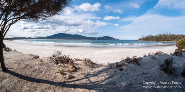 Australia, Haunted Bay, Landscape, Maria Island, Nature, Photography, Riedle Bay, seascape, Shoal Bay, Tasmania, Travel, Wilderness, Wineglass Bay Sail Walk