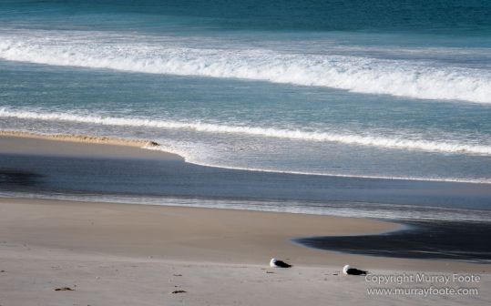 Australia, Haunted Bay, Landscape, Maria Island, Nature, Photography, Riedle Bay, seascape, Shoal Bay, Tasmania, Travel, Wilderness, Wineglass Bay Sail Walk