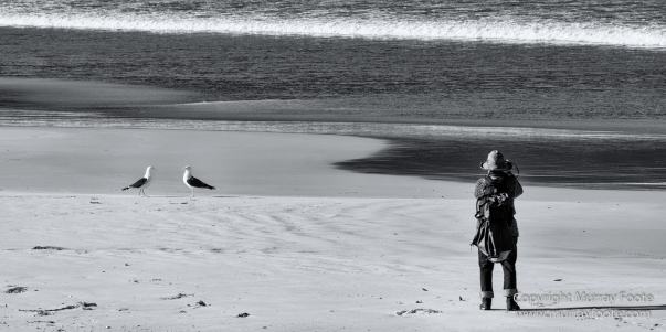 Australia, Black and White, Ketch, Landscape, Maria Island, Monochrome, Nature, Photography, Sailing, Tasmania, Travel, Wilderness, Wineglass Bay Sail Walk, Yachts