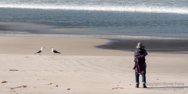 Australia, Haunted Bay, Landscape, Maria Island, Nature, Photography, Riedle Bay, seascape, Shoal Bay, Tasmania, Travel, Wilderness, Wineglass Bay Sail Walk