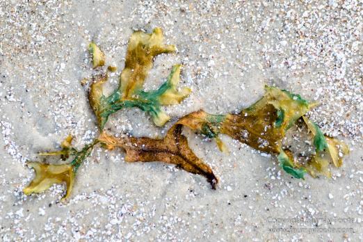 Australia, Haunted Bay, Landscape, Maria Island, Nature, Photography, Riedle Bay, seascape, Shoal Bay, Tasmania, Travel, Wilderness, Wineglass Bay Sail Walk