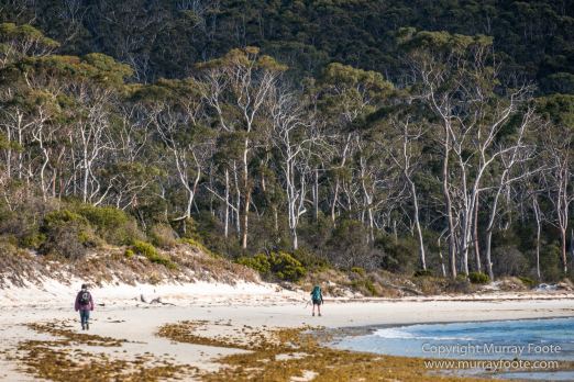 Australia, Haunted Bay, Landscape, Maria Island, Nature, Photography, Riedle Bay, seascape, Shoal Bay, Tasmania, Travel, Wilderness, Wineglass Bay Sail Walk