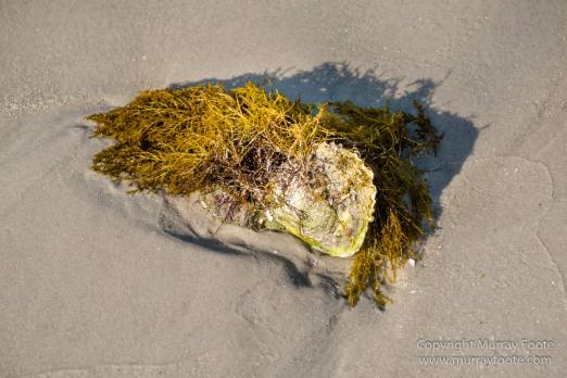 Australia, Haunted Bay, Landscape, Maria Island, Nature, Photography, Riedle Bay, seascape, Shoal Bay, Tasmania, Travel, Wilderness, Wineglass Bay Sail Walk