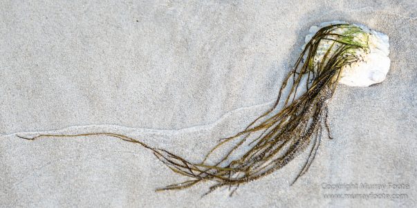 Australia, Haunted Bay, Landscape, Maria Island, Nature, Photography, Riedle Bay, seascape, Shoal Bay, Tasmania, Travel, Wilderness, Wineglass Bay Sail Walk