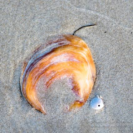 Australia, Haunted Bay, Landscape, Maria Island, Nature, Photography, Riedle Bay, seascape, Shoal Bay, Tasmania, Travel, Wilderness, Wineglass Bay Sail Walk