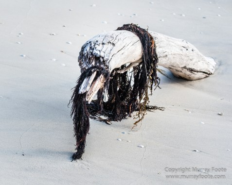 Australia, Haunted Bay, Landscape, Maria Island, Nature, Photography, Riedle Bay, seascape, Shoal Bay, Tasmania, Travel, Wilderness, Wineglass Bay Sail Walk
