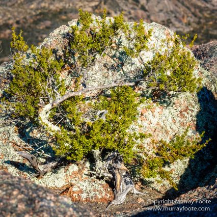 Australia, Fur seal, Ile des Phoques, Ketch, Maria Island, Nature, Photography, Sailing, Schouten Island, seascape, Tasmania, Travel, Wilderness, Wineglass Bay Sail Walk, Yachts