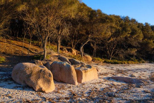 Australia, Fur seal, Ile des Phoques, Ketch, Maria Island, Nature, Photography, Sailing, Schouten Island, seascape, Tasmania, Travel, Wilderness, Wineglass Bay Sail Walk, Yachts