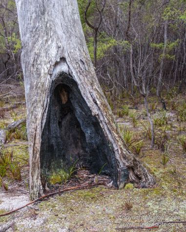 Australia, Freycinet Peninsula, Nature, Photography, seascape, Tasmania, Travel, Wilderness, Wineglass Bay Sail Walk
