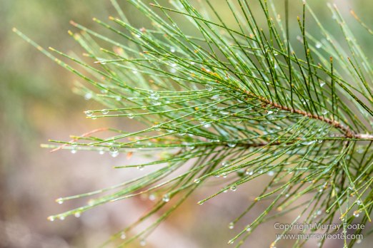 Australia, Freycinet Peninsula, Nature, Photography, seascape, Tasmania, Travel, Wilderness, Wineglass Bay Sail Walk