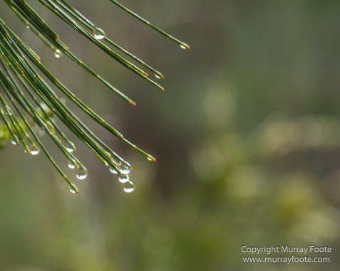 Australia, Freycinet Peninsula, Nature, Photography, seascape, Tasmania, Travel, Wilderness, Wineglass Bay Sail Walk