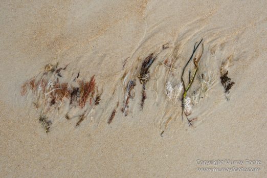 Australia, Freycinet Peninsula, Nature, Photography, seascape, Tasmania, Travel, Wilderness, Wineglass Bay Sail Walk