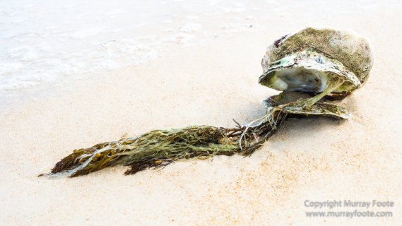 Australia, Freycinet Peninsula, Nature, Photography, seascape, Tasmania, Travel, Wilderness, Wineglass Bay Sail Walk