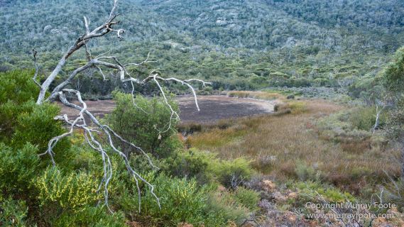 Australia, Freycinet Peninsula, Nature, Photography, seascape, Tasmania, Travel, Wilderness, Wineglass Bay Sail Walk