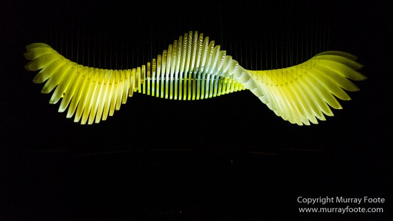 Art, Australia, Landscape, Melbourne Museum, National Gallery of Victoria, Nature, Photography, Royal Botanic Gardens Victoria, Travel