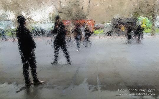 Art, Australia, Landscape, Melbourne Museum, National Gallery of Victoria, Nature, Photography, Royal Botanic Gardens Victoria, Travel