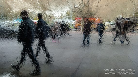 Art, Australia, Landscape, Melbourne Museum, National Gallery of Victoria, Nature, Photography, Royal Botanic Gardens Victoria, Travel