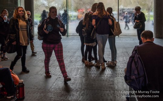 Art, Australia, Landscape, Melbourne Museum, National Gallery of Victoria, Nature, Photography, Royal Botanic Gardens Victoria, Travel