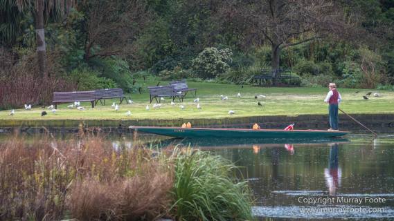 Art, Australia, Landscape, Melbourne Museum, National Gallery of Victoria, Nature, Photography, Royal Botanic Gardens Victoria, Travel