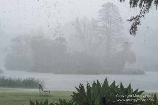 Art, Australia, Landscape, Melbourne Museum, National Gallery of Victoria, Nature, Photography, Royal Botanic Gardens Victoria, Travel