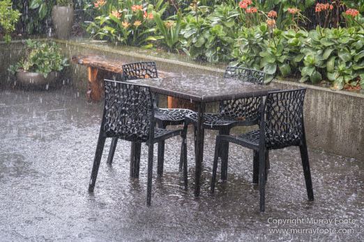 Art, Australia, Landscape, Melbourne Museum, National Gallery of Victoria, Nature, Photography, Royal Botanic Gardens Victoria, Travel